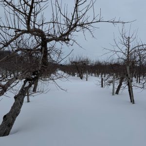 érablière Charbonneau - Cabane à Sucre Montérégie