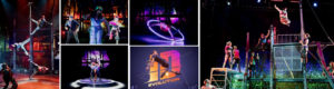 iD ÉVOLUTION Cirque Éloize